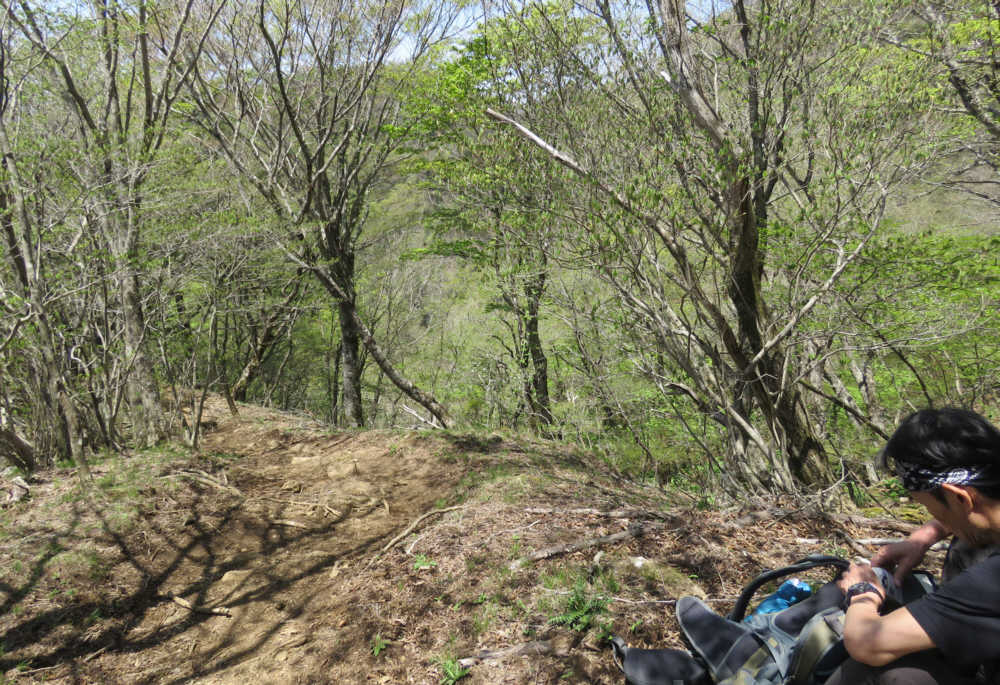 緑の樹木に囲まれて休憩